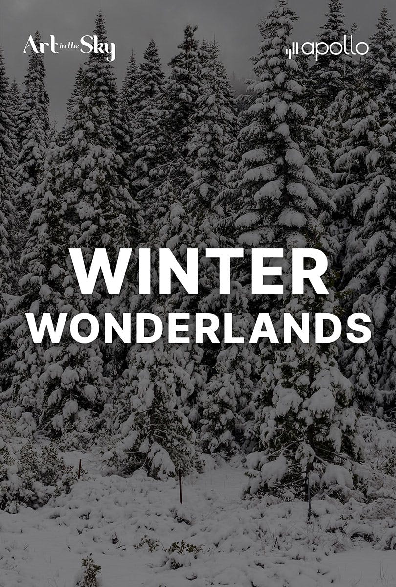 Art in the Sky: Winter Wonderland